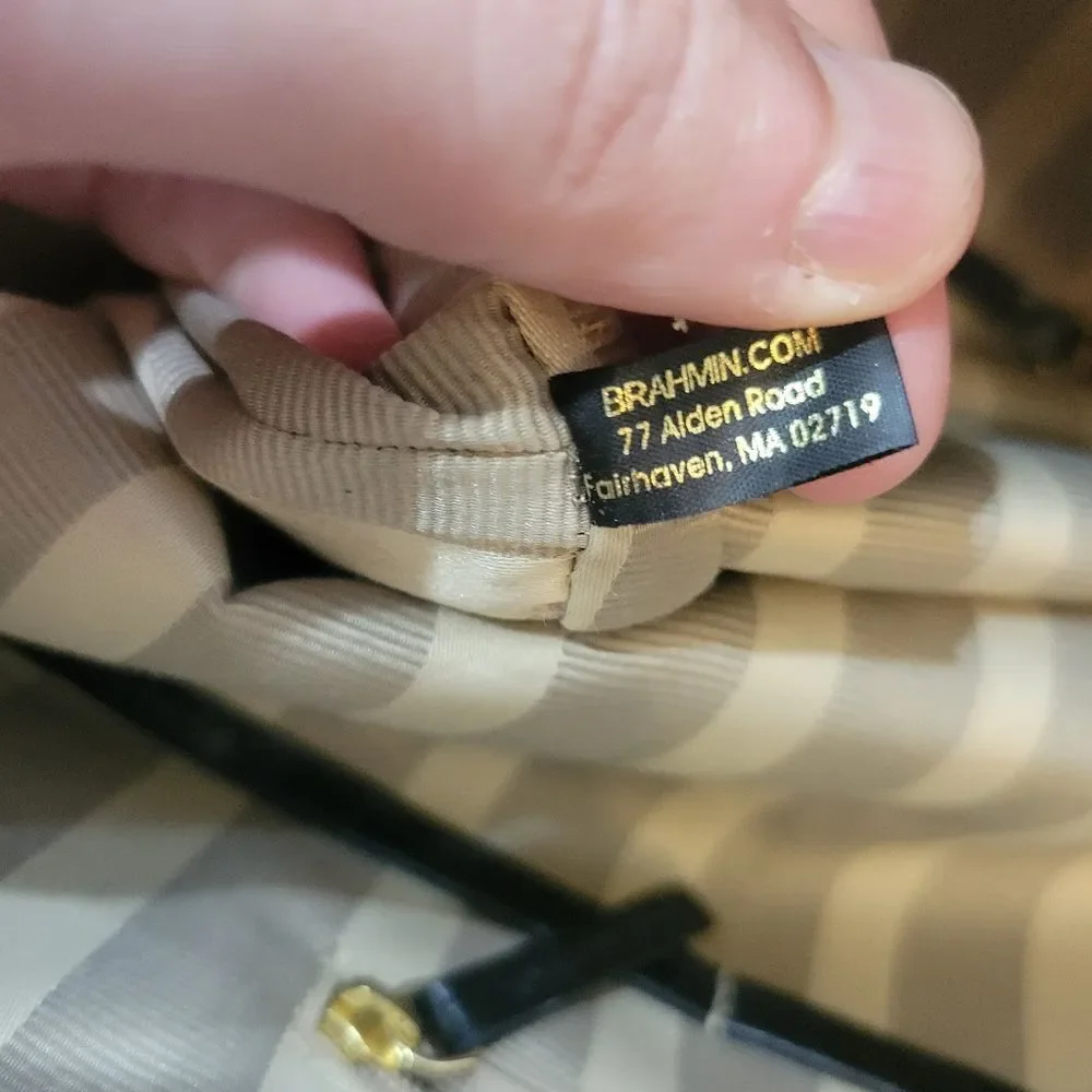 Brahmin medium asher